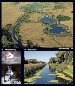 Schilf und Wasser sind die dominierenden Elemente im Land am Neusiedler See.