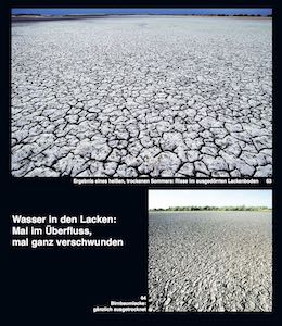 Dass Seewinkellacken fallweise austrocknen, ist völlig natürlich und gehört zur Charakteristik einer Steppenlandschaft.