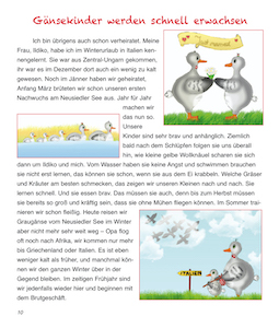 Die Graugans Martin, eine hübsche Comicfigur, erzählt in ansprechenden Zeichnungen ihre Familiengeschichte.