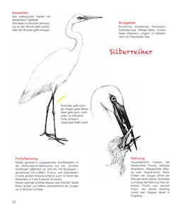 Es gibt auch viele naturalistische, detailgetreue Zeichnungen von den wichtigsten Tier- und Pflanzenarten im Nationalpark.