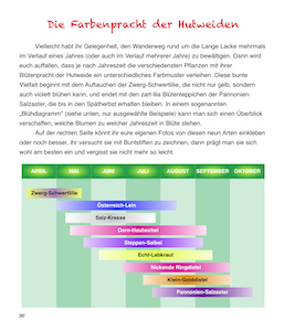 Wann man welchen Pflanzen in blühendem Zustand begegnen kann, ist in einer bunten Grafik dargestellt.